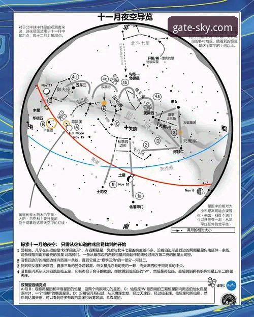 星空入口官网首页手机版：从访问到精通的全方位探索指南