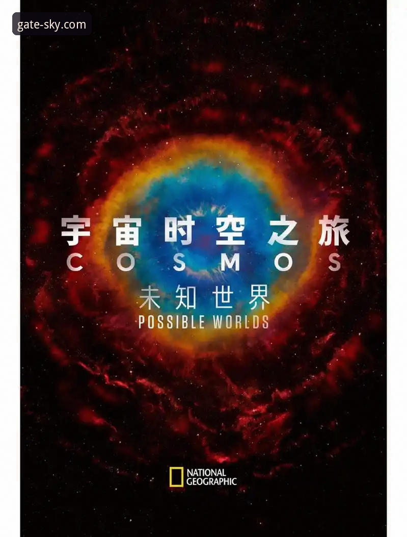 2026星空之门官网下载 2026星空之门官网下载与使用完整指南:解锁奇幻世界的冒险钥匙