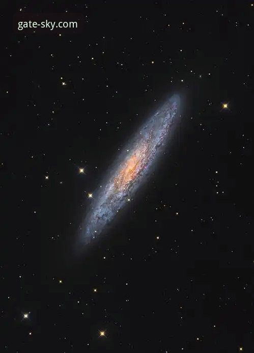 星空SKY苹果版 星空SKY苹果版最新动态:2024年全新版本功能与使用体验全解析